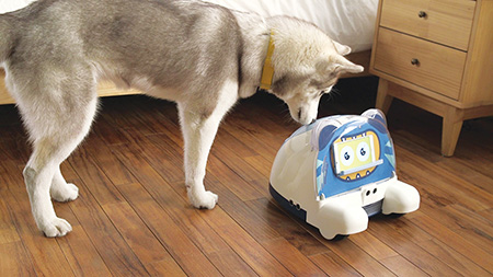 'IoT 기술 결합' 로봇이 반려동물 케어한다 기사 이미지